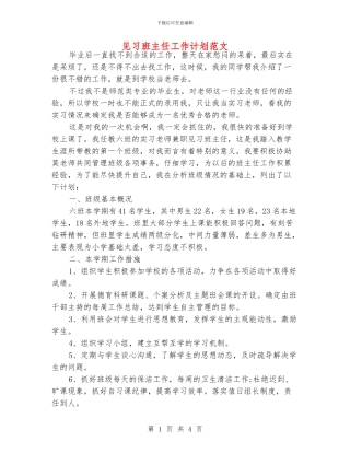 见习班主任工作计划范文.doc