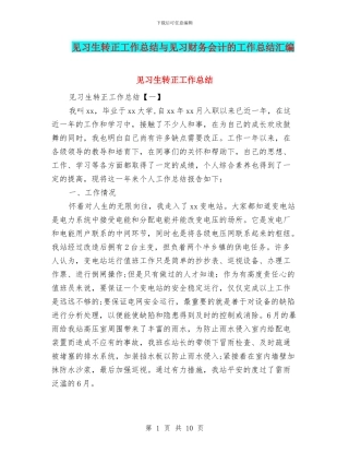 见习生转正工作总结与见习财务会计的工作总结汇编