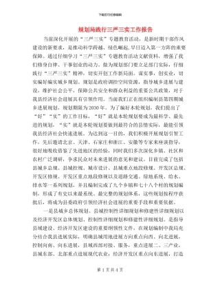 规划局践行三严三实工作报告