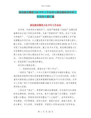 规划建设稽查大队半年工作总结与规划测绘局年终工作总结6篇汇编