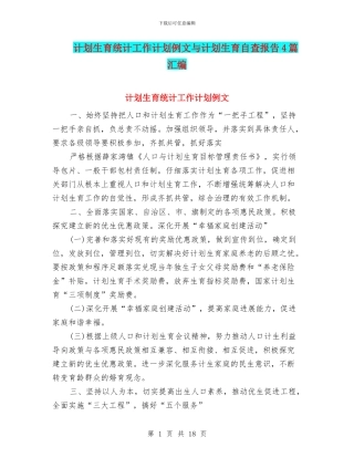 计划生育统计工作计划例文与计划生育自查报告4篇汇编