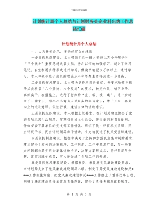 计划统计局个人总结与计划财务处企业科出纳工作总结汇编