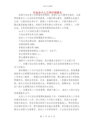 计生办个人工作计划范文