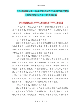 计生委调查大队上半年工作总结及下半年工作打算与计生宣传2024个人工作总结汇编