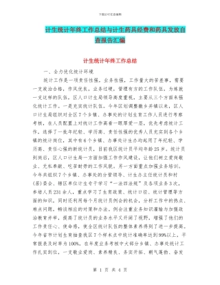 计生统计年终工作总结与计生药具经费和药具发放自查报告汇编