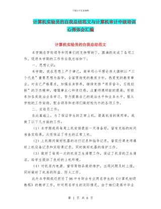 计算机实验员的自我总结范文与计算机审计中级培训心得体会汇编