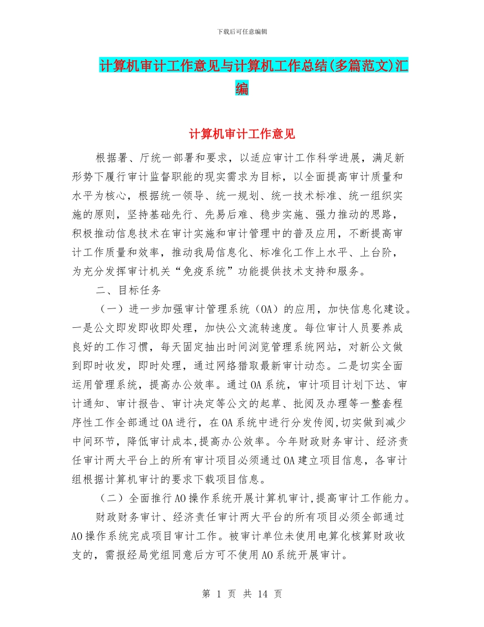 计算机审计工作意见与计算机工作总结汇编_第1页