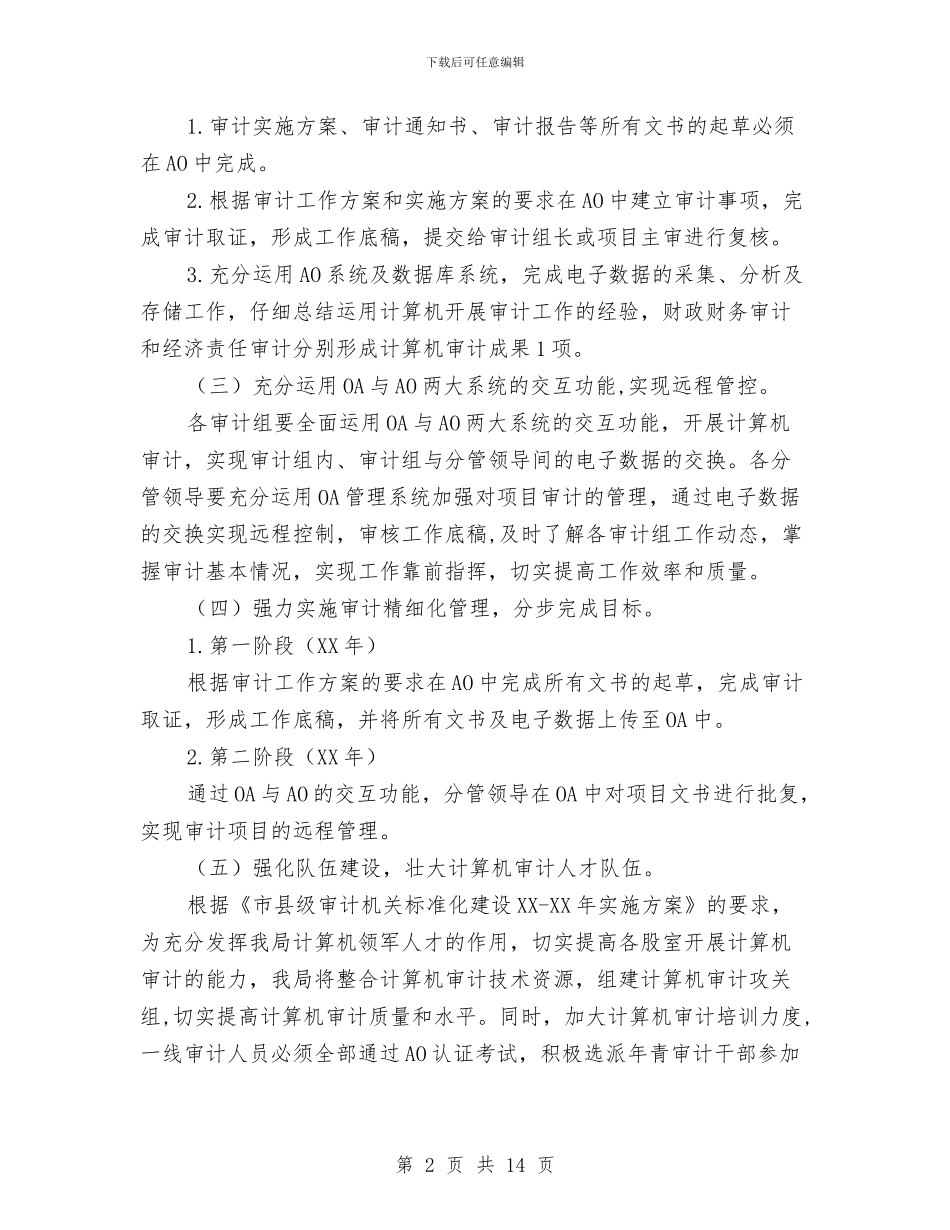 计算机审计工作意见与计算机工作总结汇编_第2页