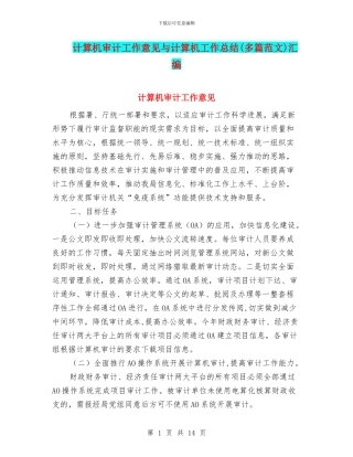 计算机审计工作意见与计算机工作总结汇编