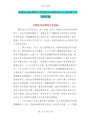 计财处2024财务工作总结与计财处会计人员年终工作总结汇编