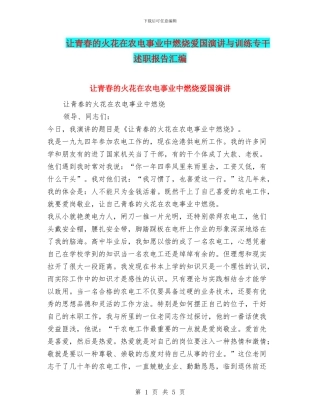 让青春的火花在农电事业中燃烧爱国演讲与训练专干述职报告汇编