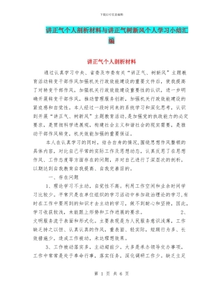 讲正气个人剖析材料与讲正气树新风个人学习小结汇编