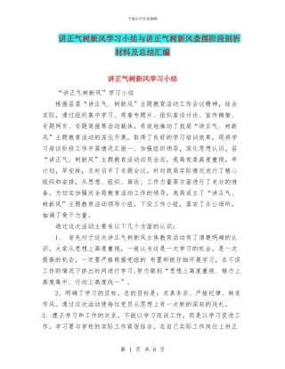 讲正气树新风学习小结与讲正气树新风查摆阶段剖析材料及总结汇编