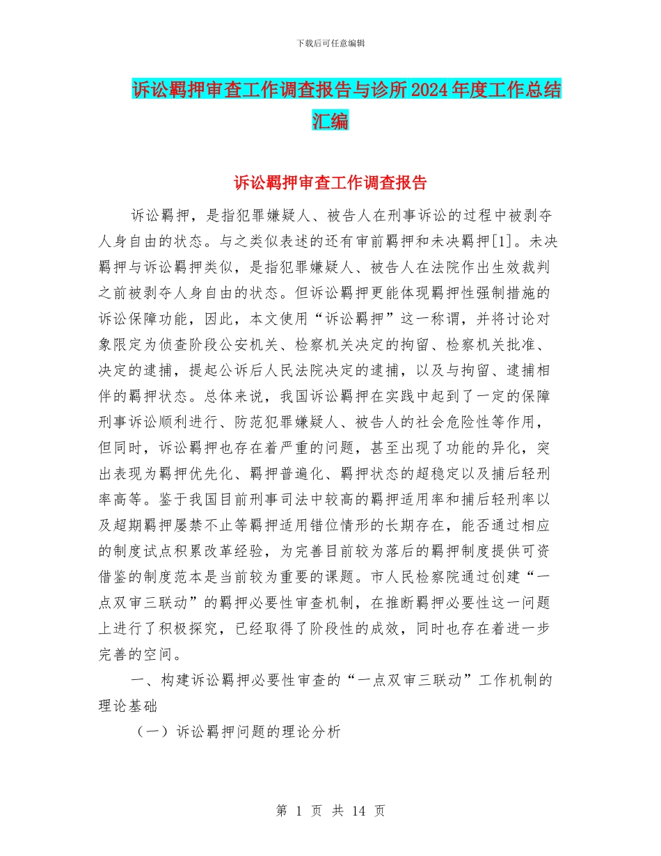 诉讼羁押审查工作调查报告与诊所2024年度工作总结汇编_第1页