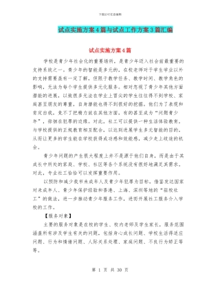 试点实施方案4篇与试点工作方案3篇汇编