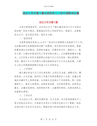试点工作方案3篇与试用员工工作计划样本汇编