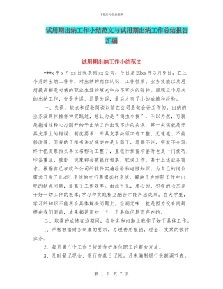 试用期出纳工作小结范文与试用期出纳工作总结报告汇编