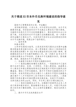 关于推进XX市本外币兑换环境建设的指导意见