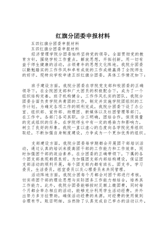 红旗分团委申报材料