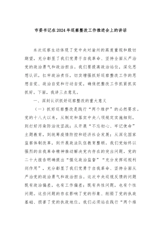 市委书记在2024年巡察整改工作推进会上的讲话