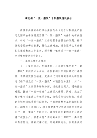 镇党委“一案一整改”专项整改情况报告