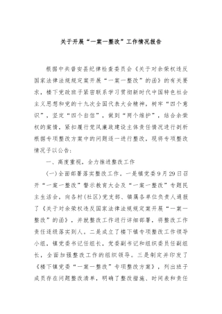 关于开展“一案一整改”工作情况报告