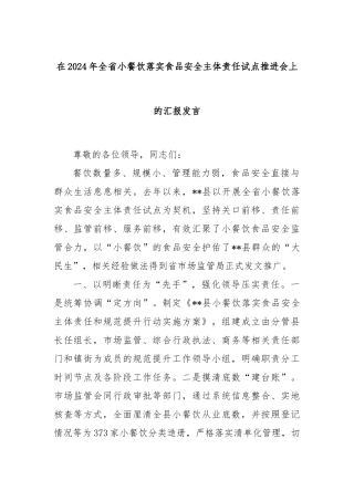 在2024年全省小餐饮落实食品安全主体责任试点推进会上的汇报发言