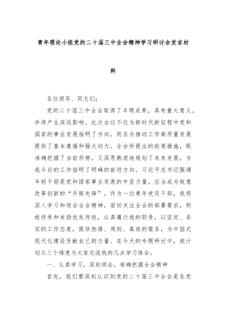 青年理论小组党的二十届三中全会精神学习研讨会发言材料