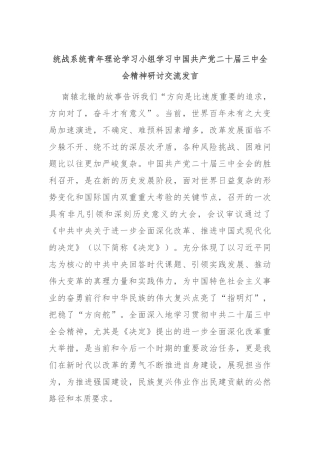 统战系统青年理论学习小组学习中国共产党二十届三中全会精神研讨交流发言