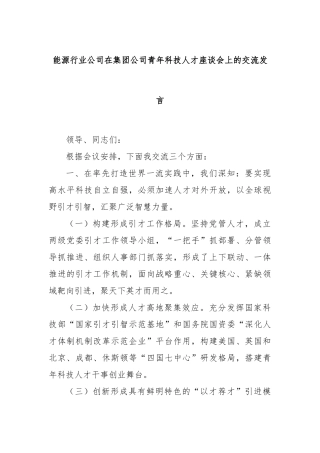 能源行业公司在集团公司青年科技人才座谈会上的交流发言