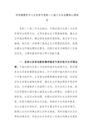 市河湖管护中心主任学习党的二十届三中全会精神心得体会