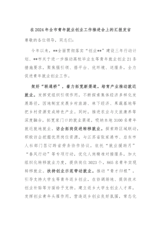 在2024年全市青年就业创业工作推进会上的汇报发言