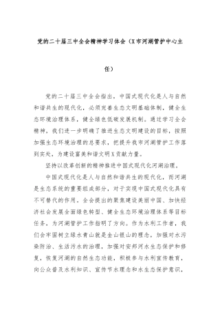党的二十届三中全会精神学习体会（X市河湖管护中心主任）