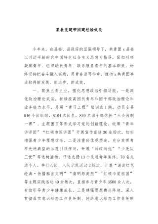 某县党建带团建经验做法
