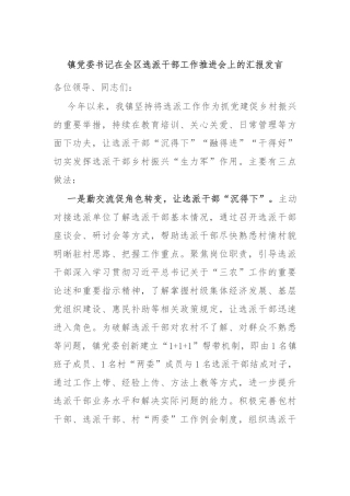 镇党委书记在全区选派干部工作推进会上的汇报发言