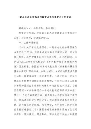 副县长在全市养老领域重点工作调度会上的发言