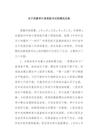 关于巡察审计局党组书记的情况反映