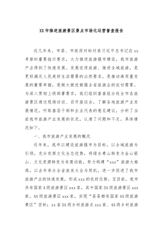 XX市推进旅游景区景点市场化运营督查报告