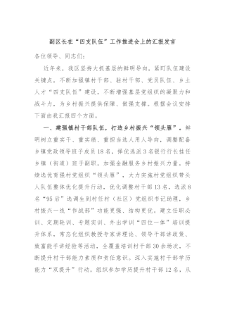 副区长在“四支队伍”工作推进会上的汇报发言