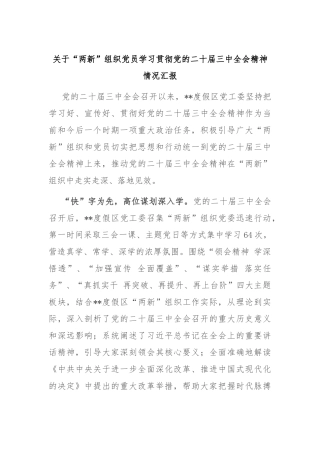 关于“两新”组织党员学习贯彻党的二十届三中全会精神情况汇报