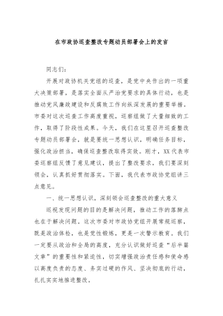 在市政协巡查整改专题动员部署会上的发言