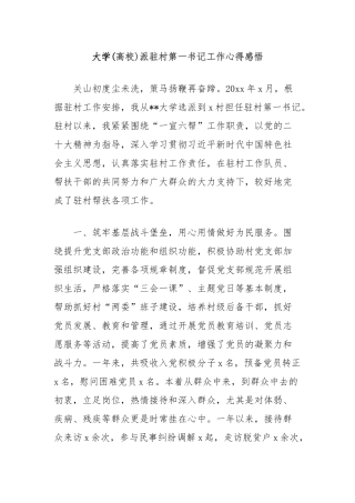 大学(高校)派驻村第一书记工作心得感悟
