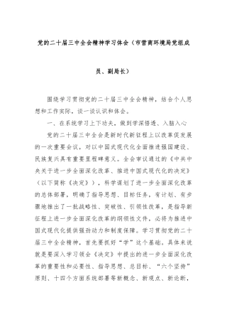 党的二十届三中全会精神学习体会（市营商环境局党组成员、副局长）