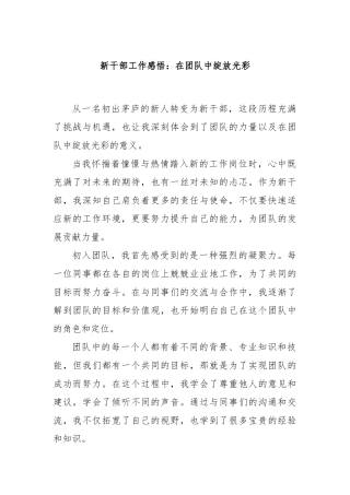 新干部工作感悟：在团队中绽放光彩