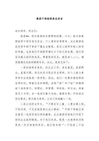 集团干部挂职表态发言