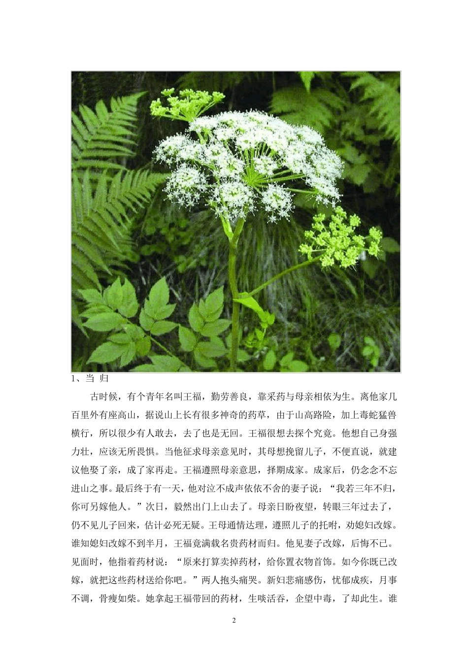 中草药传说故事集锦附图_第2页