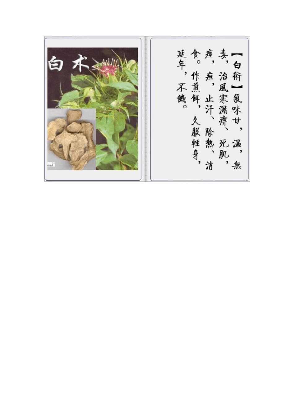 中草药图谱(图文)_第2页