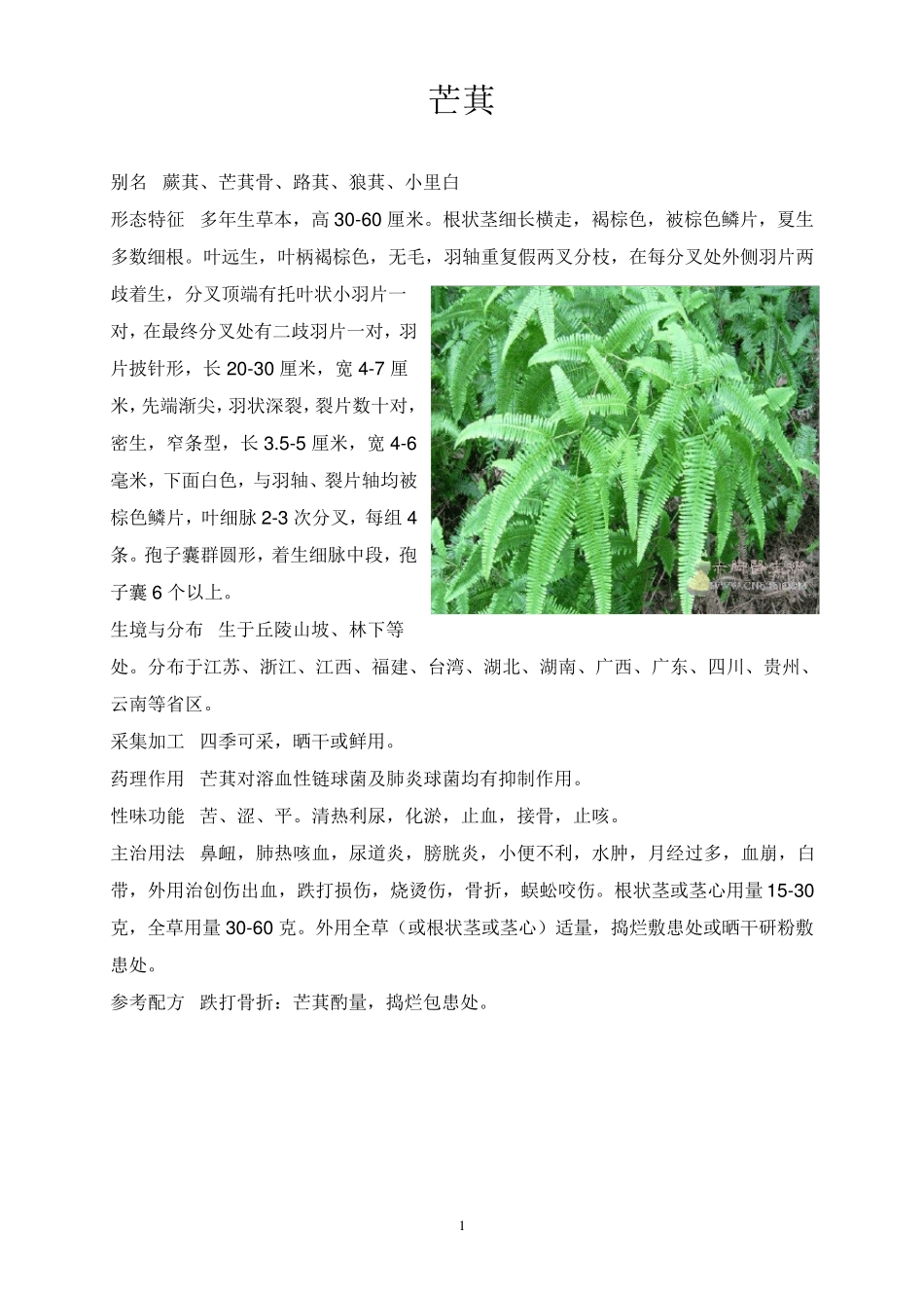 中草药彩色图片大全1_第1页