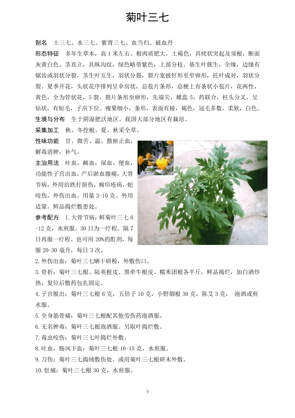 中草药彩色图片大全1_第3页