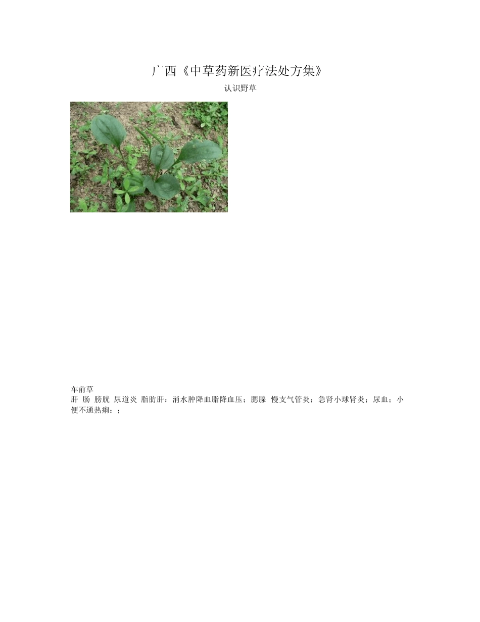中草药新医疗法处方集_第1页